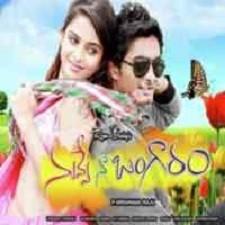 Nuvve Naa Bangaram naa songs