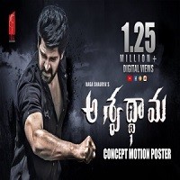 Ashwathama naa songs