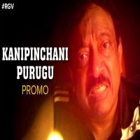 Kanipinchani Purugu naa songs