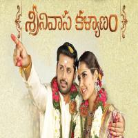 Srinivasa Kalyanam Nithin Movie Poster