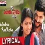 Paluku Radhela Poster