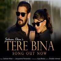 Tere Bina Poster