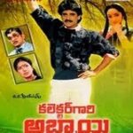 Collector Gari Abbai Naa Songs