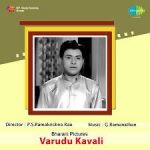 Varudu Kaavaali Naa Songs